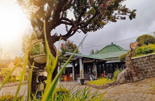 Ngadisari Hotel | Bromo Permai 1