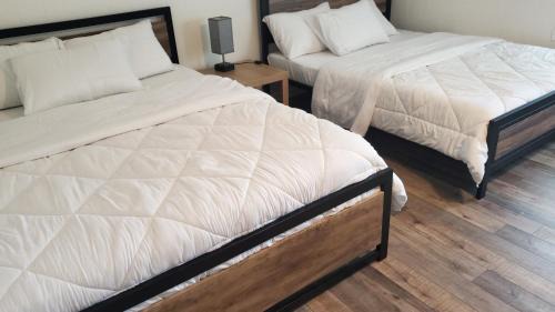 Ditmas Park Apartment | Brooklyn stay