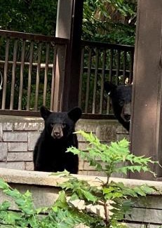 Gatlinburg Hotel | Brookside Lodge - Gatlinburg - On the River