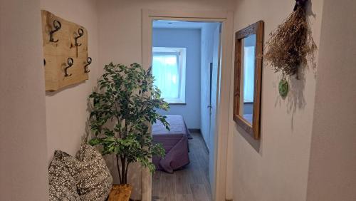 Calalzo di Cadore Apartment | Bruce's family home