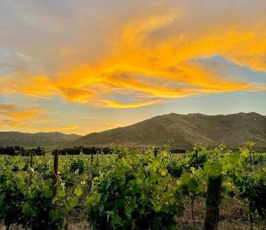 San Antonio de las Minas Hotel | Bruma Wine Resort