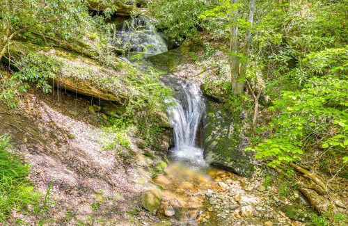 Bryson City House | Bryson City Cottage with Hot Tub and Waterfall Views!