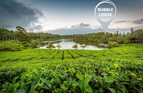 Bois Cheri Cabin | Bubble Lodge Bois Chéri Plantation