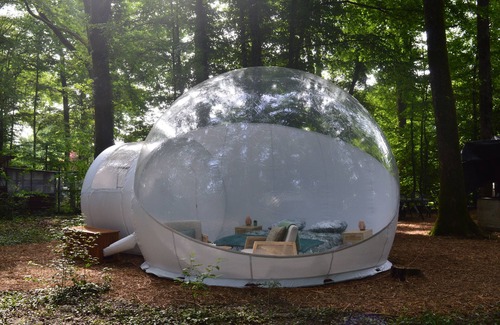 Chuelles Cabin | Bubble Tent Loiret: nature and comfort, close to the Loire castles