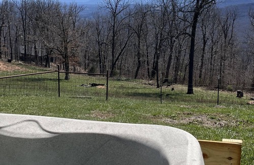Harrison Cabin | Buckridge Cabins, located near the Buffalo National River in Compton Arkansas.