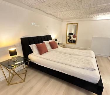 Terezvaros Apartment | Budapest Central Opera with Gym & Spa