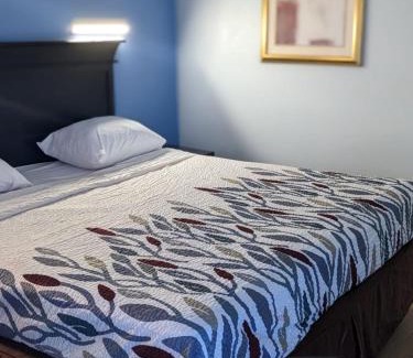 Alexandria Hotel | Budget Inn Alexandria