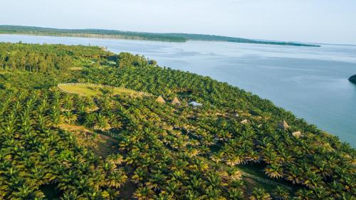 Bugala Island Resort | Bugoma Palms Resort Sand Beach