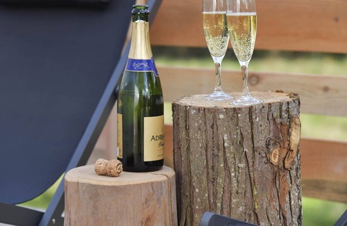 Quarre-les-Tombes Cabin | Bulle Ecureuil... eyes in the stars in the heart of the Morvan