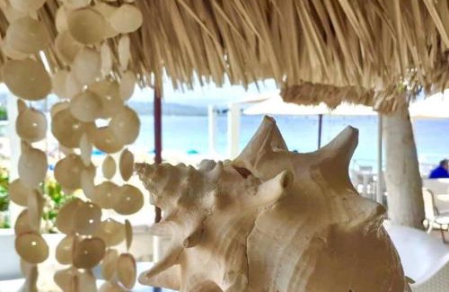 El Batey House | Bungalow #12 at Waterfront Playa Alicia