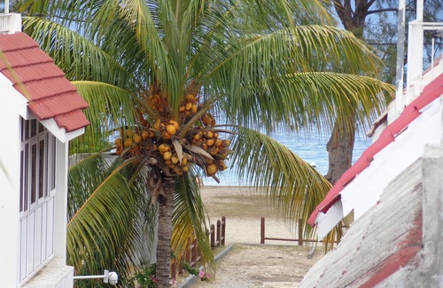 Flic-en-Flac House | Bungalow - Feet in the water