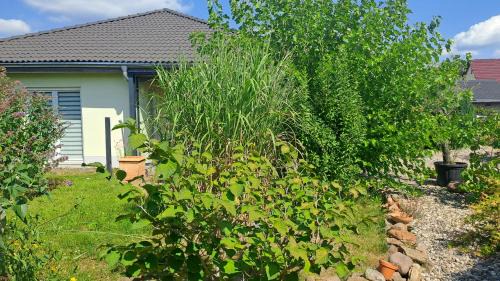 Oberdorla House | Bungalow Haus mit 3 Schlafzimmern nähe Dresden