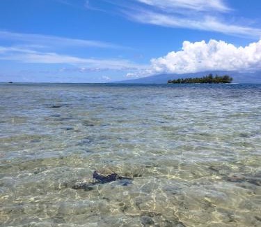 French Polynesia House | Bungalow les pieds ds l eau, La Maison Bleue