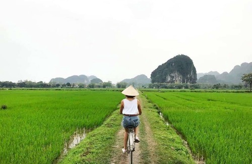 Hoa Lu House | Bungalow with garden view 5 min to Tam Coc and many shop, restaurant.
