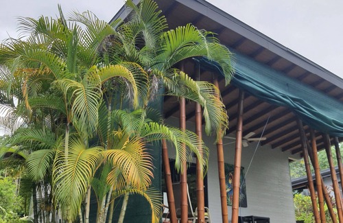 Ballena House | Bungalow with kitchen and infinity pool with ocean view, small BnB