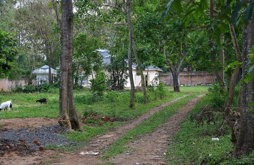 Bungoma House | Bungalow with lush garden on the highway