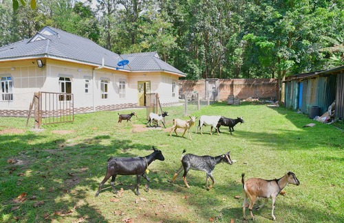 Bungoma House | Bungalow with lush garden on the highway