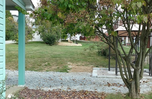 Youngwood House | Bungalow With Luxury Appointments, Great Price! Pet Friendly w/fee