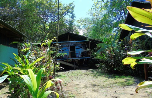 Drake Bay House | Bungalow with sea view
