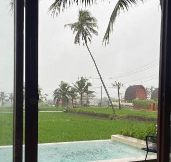 Pejeng Kawan Apartment | Bungalows 1-3