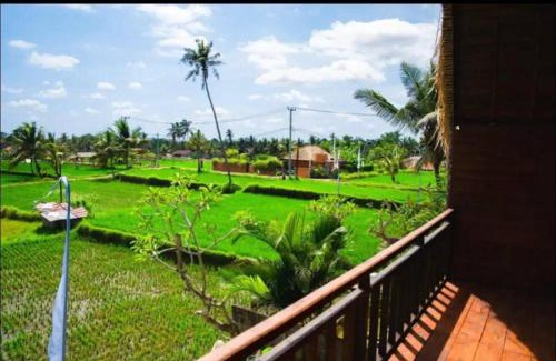 Pejeng Kawan Apartment | Bungalows 1-3