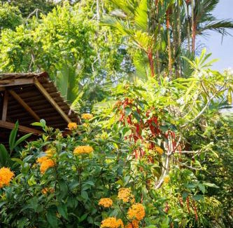 Cahuita Cabin | Bungalows Aché Cahuita