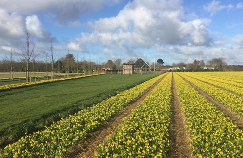 Egmond-Binnen Resort | Bungalows – Bungalowpark Mooyeveld – Uniek gelegen in de duinen!