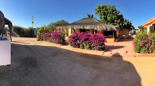 Cabo Pulmo Other | Bungalows Cabo Pulmo