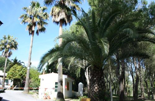 Medina-Sidonia Resort | Bungalows y Glamping Medina Sidonia