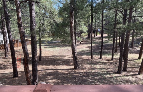 Ponderosa Trails House | Bunk-Bed House Nestled in the Trees