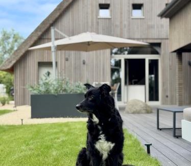 Oberndorf House | BunnyHuus Scheunen-Loft