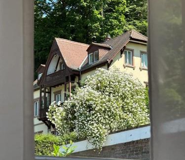 Heidelberg House | Burgfreiheit