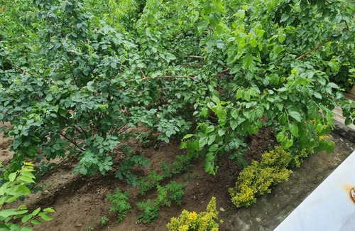 Cekirge Mahallesi Apartment | Bursa 2