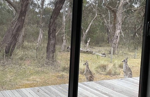 Anglesea House | 'Bush by the Sea' - quiet native setting