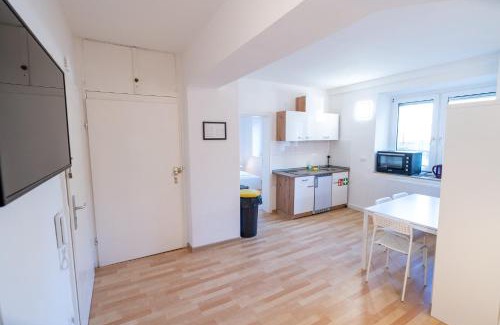 Sudliche Innenstadt Apartment | Business Apartment in ruhiger Lage LU Süd
