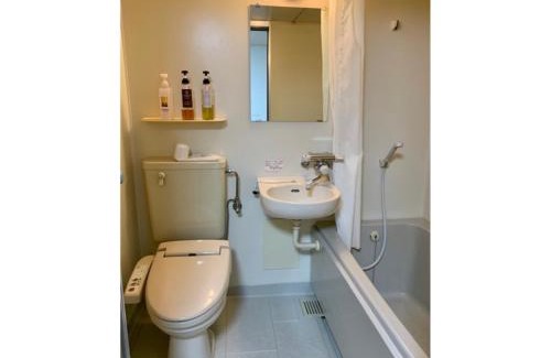 Nishinomaru Cho Hotel | Business Hotel Lupinus - Vacation STAY 55803v