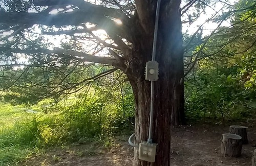 Elkland RV Rental | Busy B's Electrified Landing Campsite at B Berry Farms & Co.