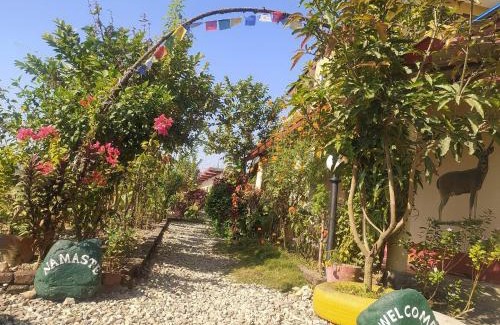 Sauraha House | Busy Bee Guest House