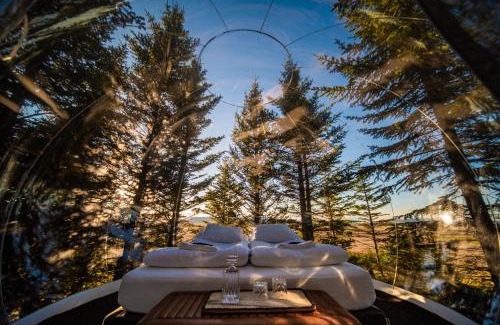 Blaskogabyggd Other | Buubble Hotel - Hrosshagi
