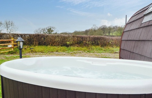 Bethania Cottage | Bwthyn Bach Brefi - UK31919
