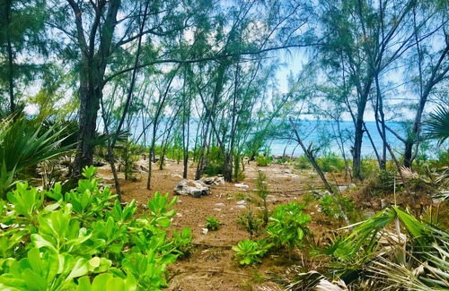 Rainbow Bay Cottage | By The Rocks Cottage - Your Anywhere Spot