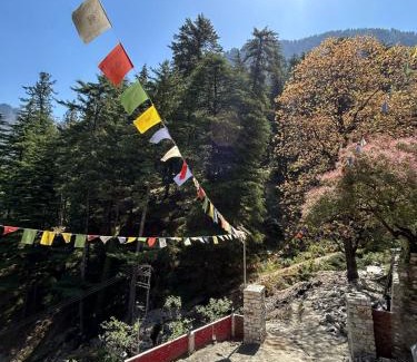Mohal House | Byway, Kasol