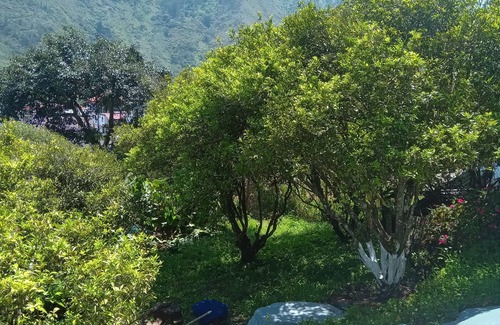 Banos de Agua Santa House | Cómoda y Acogedora Como en tu Propio Hogar