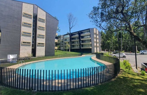 Pucon Apartment | Cómodo Departamento con muy Buena Ubicación
