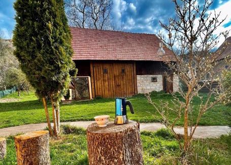 Manastireni House | Căsuța cu livadă