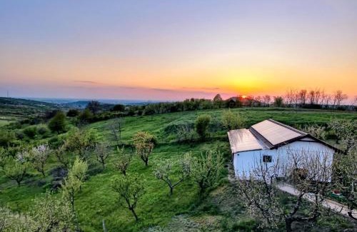 Oradea House | Căsuța din livadă