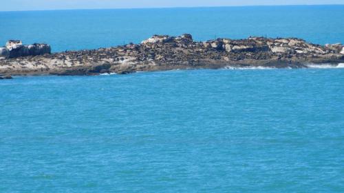 Mossel Bay Ski Chalet | C Cottage Right On The C Diaz Beach Mossel Bay South Africa