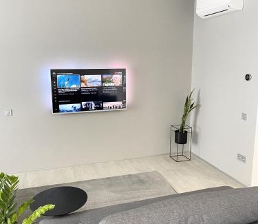 Kosuv Stary Apartment | Caсtus Apartments 1