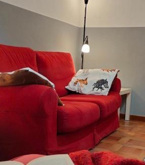 Ivrea Apartment | Ca' di Rosy