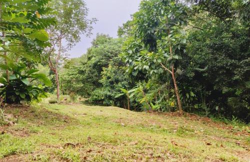 San Jose del Guaviare Other | Cabaña Armonia